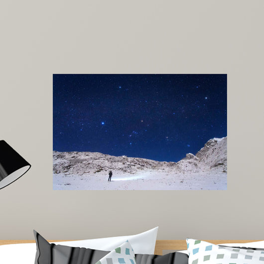 Winter Constellations above Himalayas Wall Decal