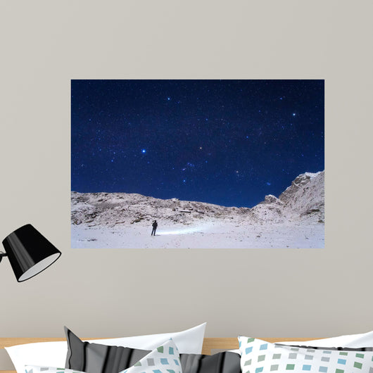 Winter Constellations above Himalayas Wall Decal