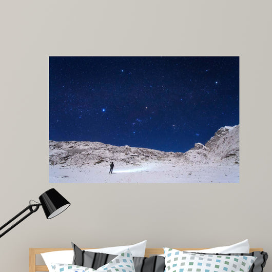 Winter Constellations above Himalayas Wall Decal