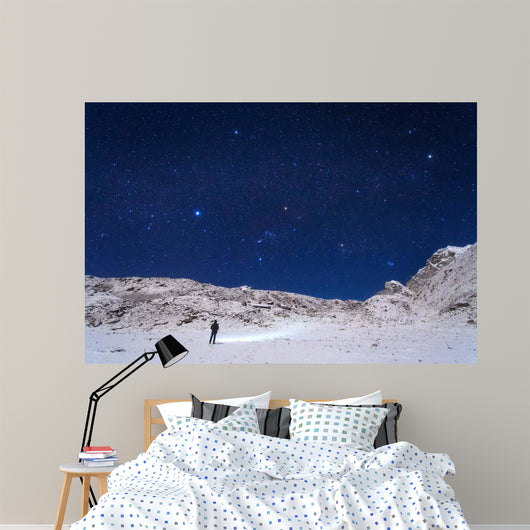 Winter Constellations above Himalayas Wall Decal