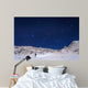 Winter Constellations above Himalayas Wall Decal