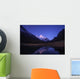 Orionid Meteor Steaks over Wall Decal