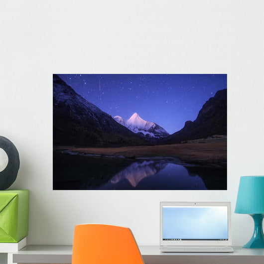 Orionid Meteor Steaks over Wall Decal