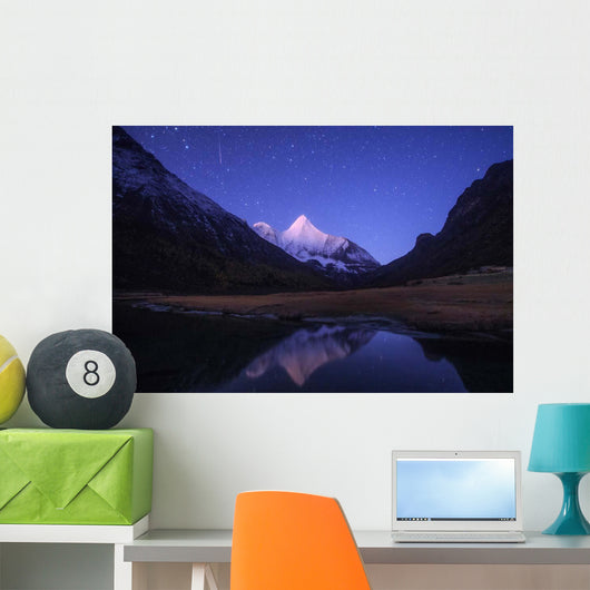Orionid Meteor Steaks over Wall Decal