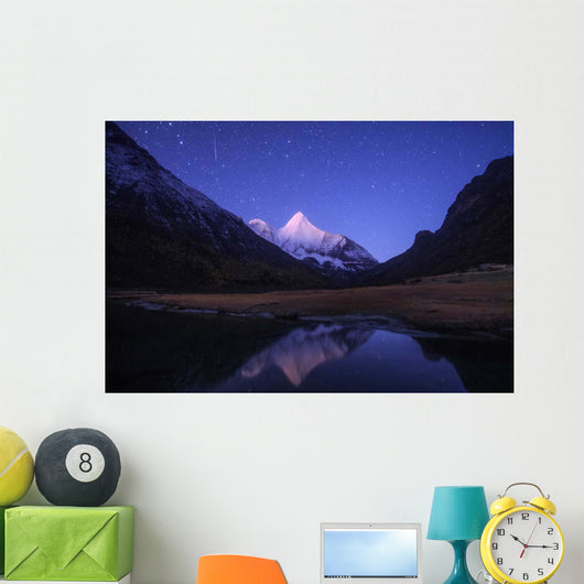 Orionid Meteor Steaks over Wall Decal