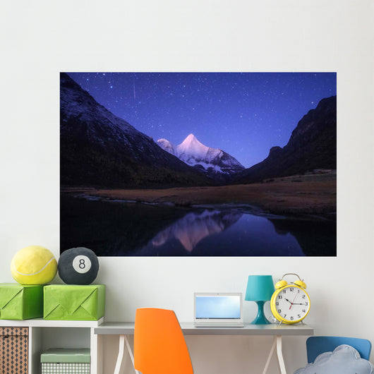 Orionid Meteor Steaks over Wall Decal