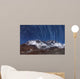 Circumpolar Star Trails above Wall Decal