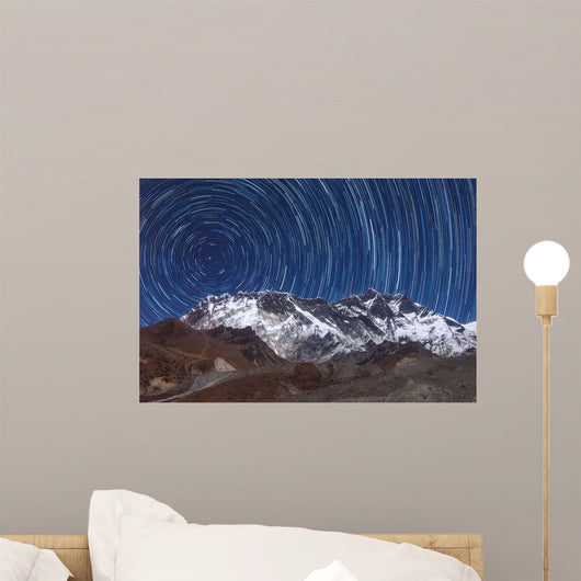 Circumpolar Star Trails above Wall Decal