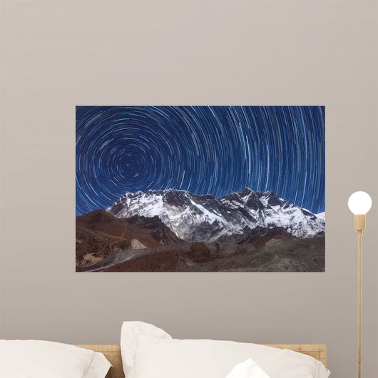 Circumpolar Star Trails above Wall Decal