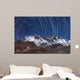 Circumpolar Star Trails above Wall Decal