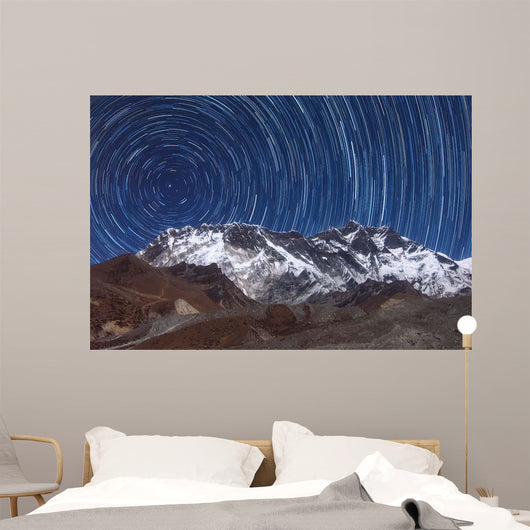 Circumpolar Star Trails above Wall Decal