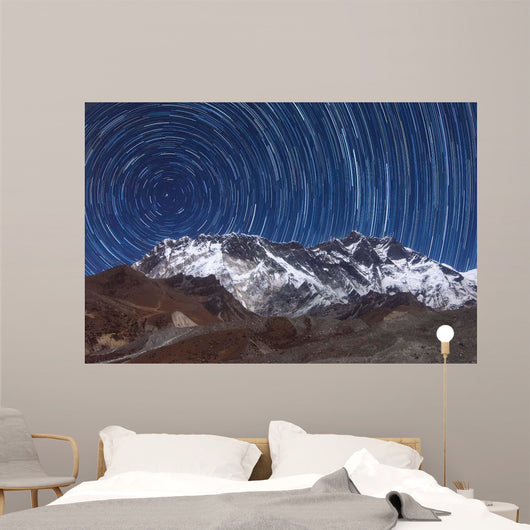 Circumpolar Star Trails above Wall Decal