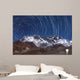 Circumpolar Star Trails above Wall Decal