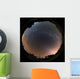 All Sky Yunnan Astronomical Wall Decal