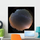 All Sky Yunnan Astronomical Wall Decal