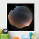 All Sky Yunnan Astronomical Wall Decal