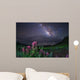 Milky Way above Foreground Wall Decal