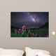 Milky Way above Foreground Wall Decal