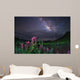 Milky Way above Foreground Wall Decal