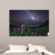 Milky Way above Foreground Wall Decal
