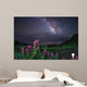 Milky Way above Foreground Wall Decal
