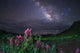 Milky Way above Foreground Wall Decal