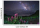 Milky Way above Foreground Wall Decal