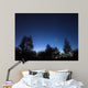 Stars Corona Borealis and Wall Decal