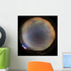 Incredible Display Banded Airglow Wall Decal