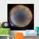 Incredible Display Banded Airglow Wall Decal