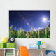 Milky Way Shines Brightly Wall Decal