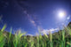 Milky Way Shines Brightly Wall Decal