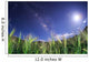 Milky Way Shines Brightly Wall Decal