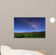 Milky Way over Field Wall Decal