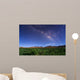 Milky Way over Field Wall Decal