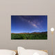 Milky Way over Field Wall Decal