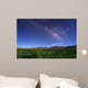 Milky Way over Field Wall Decal