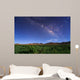 Milky Way over Field Wall Decal