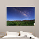 Milky Way over Field Wall Decal