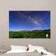 Milky Way over Field Wall Decal