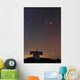Stars Constellation Orion and Wall Decal