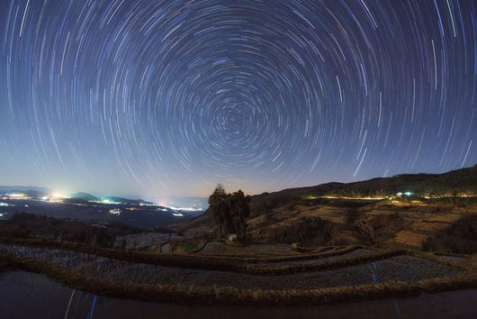 Polar Star Trails above Wall Decal
