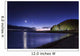 Venus and Jupiter Dance Wall Decal
