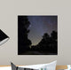 Stars Shine above Woods Wall Decal