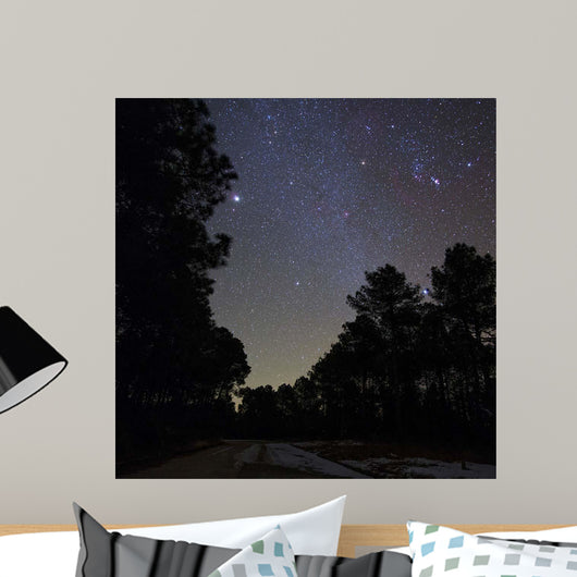Stars Shine above Woods Wall Decal