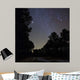 Stars Shine above Woods Wall Decal