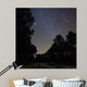Stars Shine above Woods Wall Decal