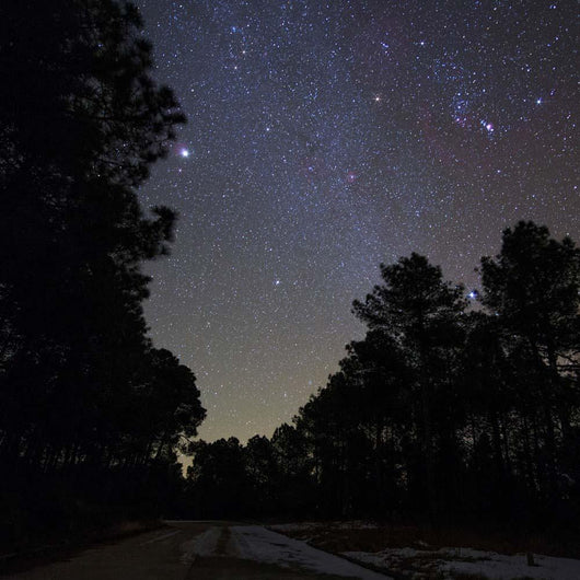 Stars Shine above Woods Wall Decal