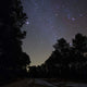Stars Shine above Woods Wall Decal