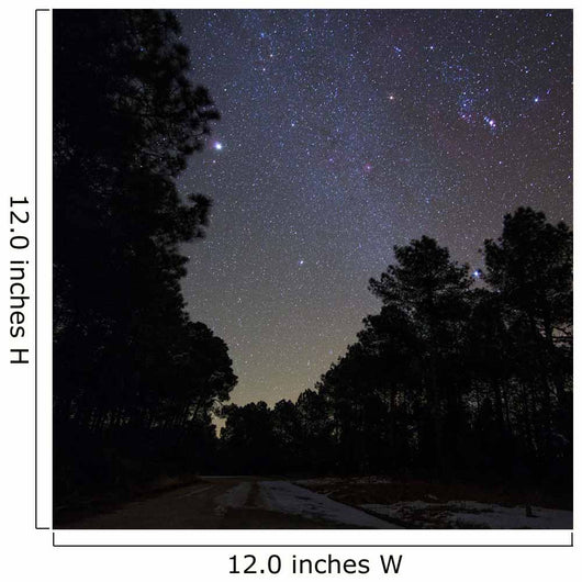 Stars Shine above Woods Wall Decal
